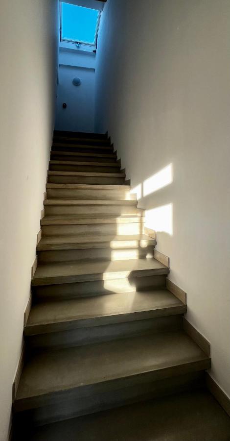 Apartament Les Demoiselles De La Tour ! Carcassonne Zewnętrze zdjęcie