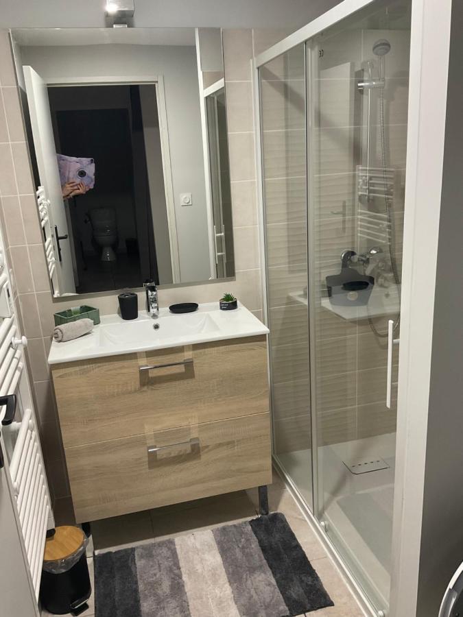 Apartament Les Demoiselles De La Tour ! Carcassonne Zewnętrze zdjęcie